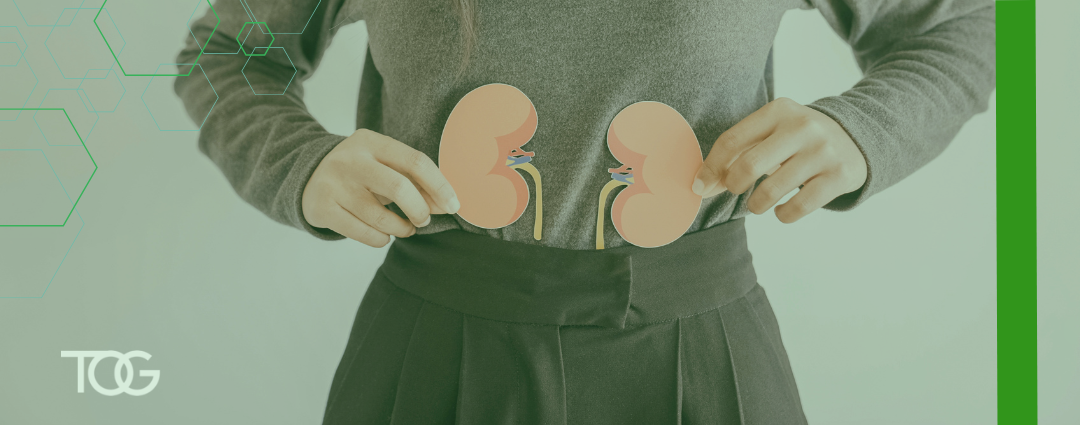Patient holds paper cutouts of kidneys indicating their location in the abdominal area.